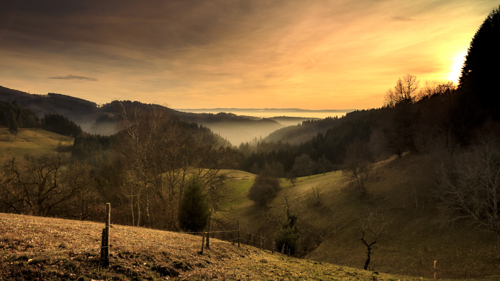 Platz 3 Anton Kienle